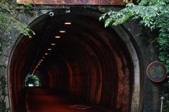 心霊トンネル？　動物が２体　　