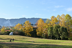 秋日和の公園