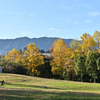 秋日和の公園