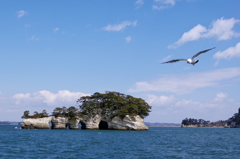 日本三景　松島