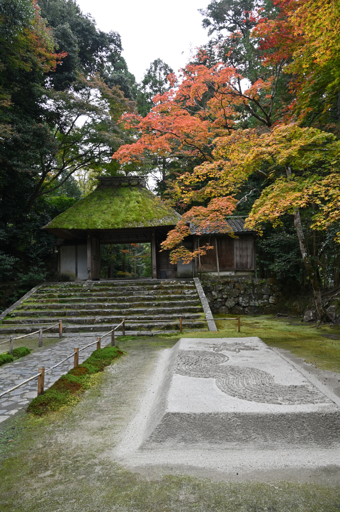 秋の法然院山門２