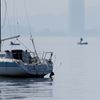 春霞の湖畔