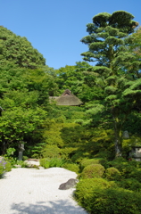 夏の金福寺　芭蕉庵