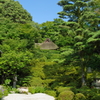 夏の金福寺　芭蕉庵