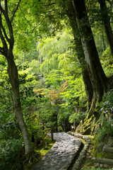 鈴蟲の寺　散策路