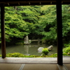 初秋　小雨の蓮華寺