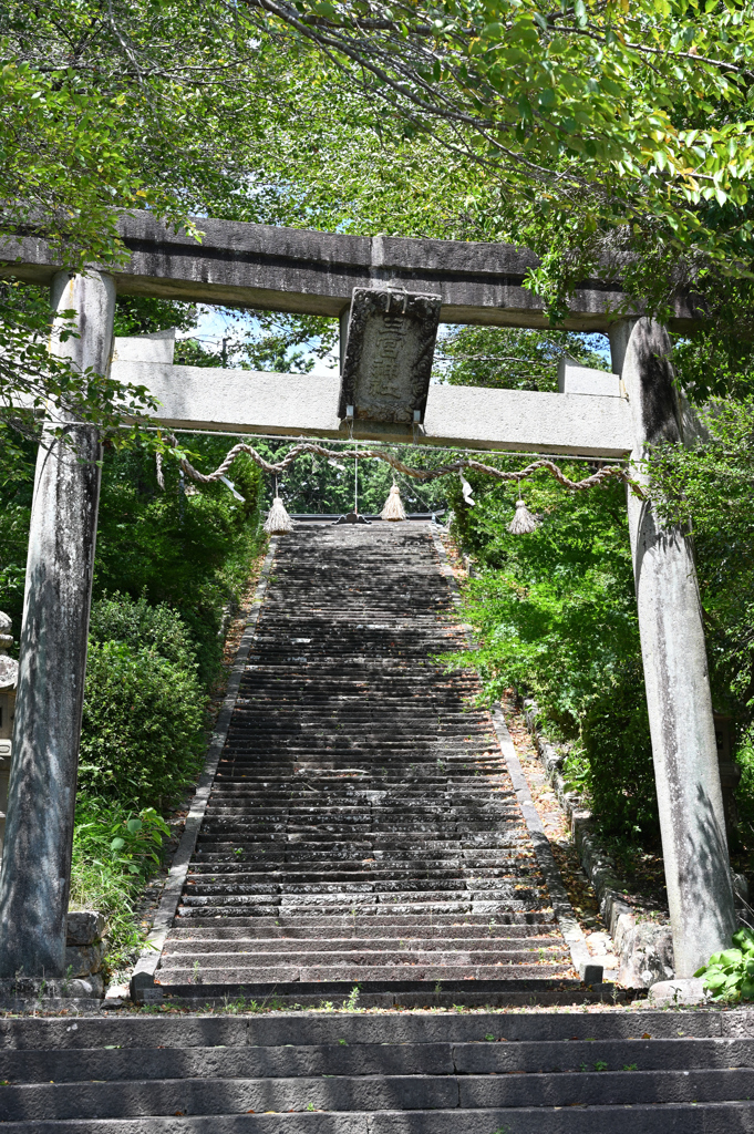 猛暑の参道１