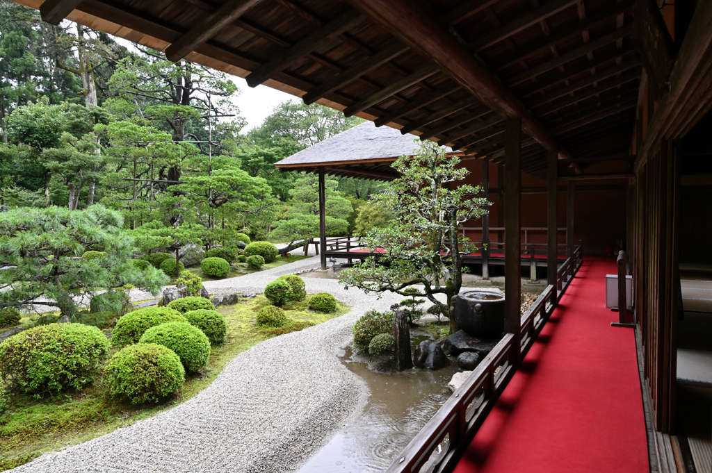 雨の曼殊院1