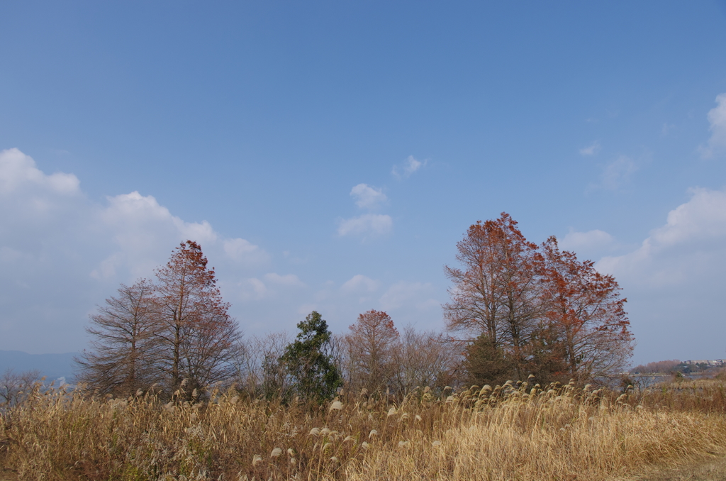 小春日和の琵琶湖畔