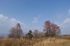 小春日和の琵琶湖畔