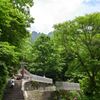 戸隠神社　奥社