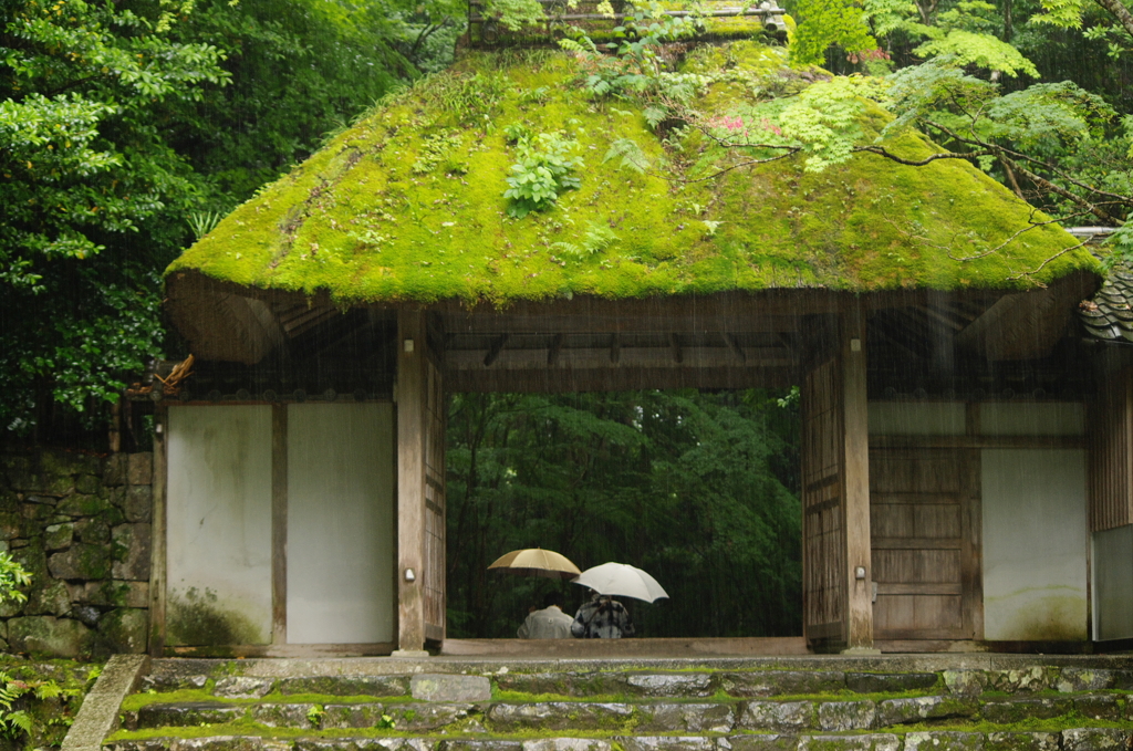 梅雨入り　法然院山門