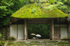 梅雨入り　法然院山門