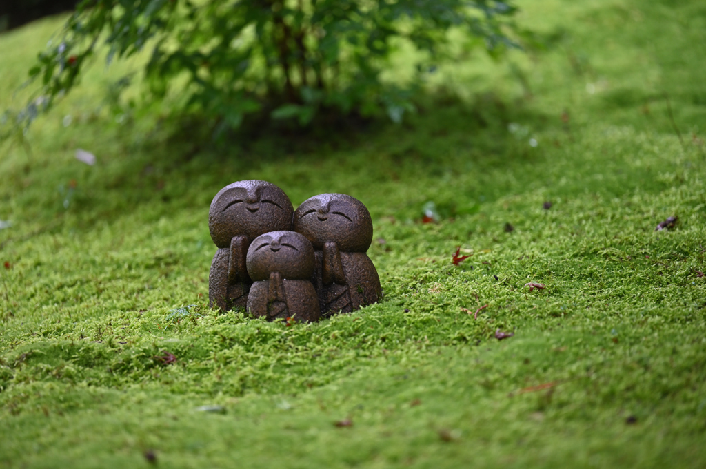 雨上がり　お地蔵様　