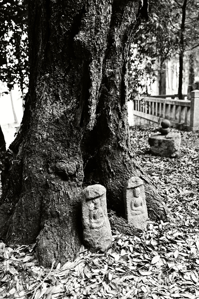 田舎の神社にて２