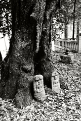 田舎の神社にて２