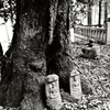田舎の神社にて２
