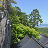 太郎坊宮 阿賀神社本殿から