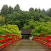 雨の室生寺