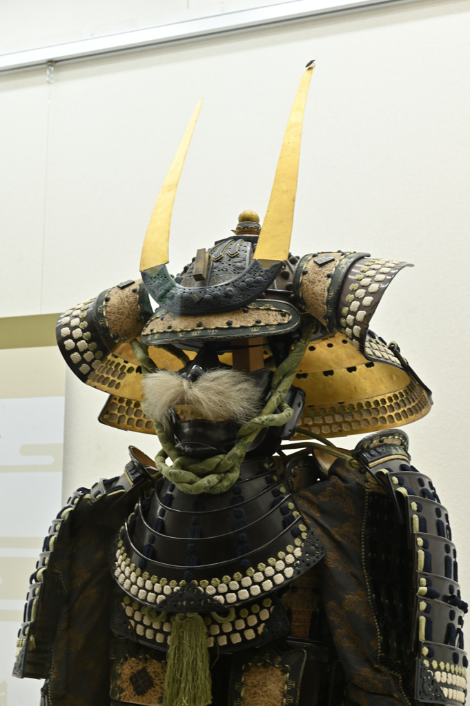鎧とカメムシ
