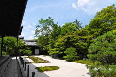夏の枯山水