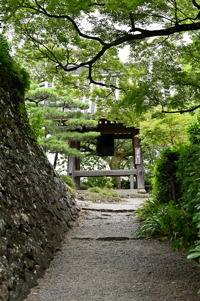 緑陰　参拝路