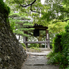 緑陰　参拝路