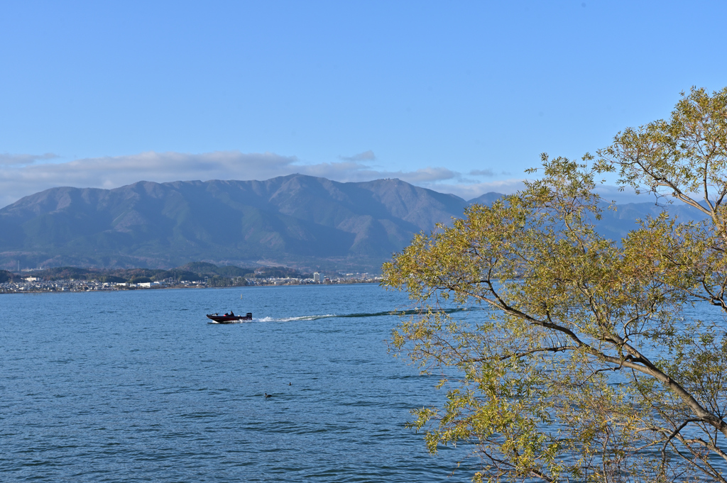 初冬　琵琶湖畔２