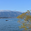 初冬　琵琶湖畔２