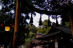 大三輪神社－暮れゆく社－