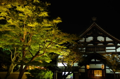 夜の高台寺　　