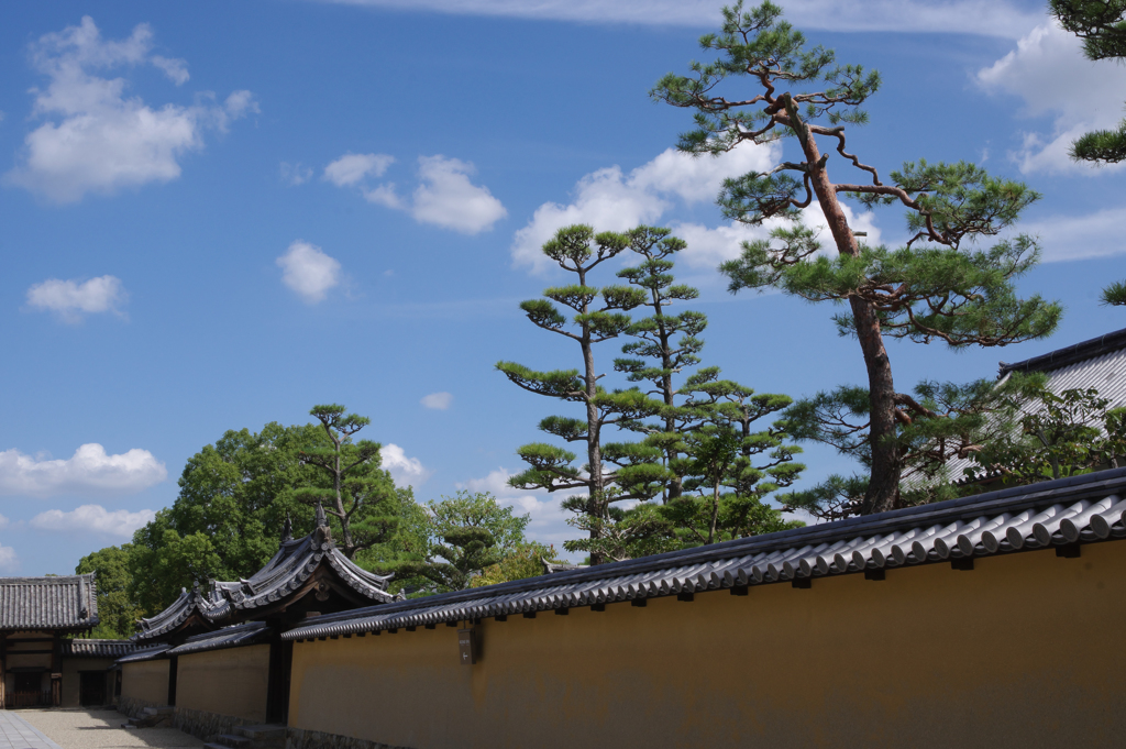 法隆寺　参道