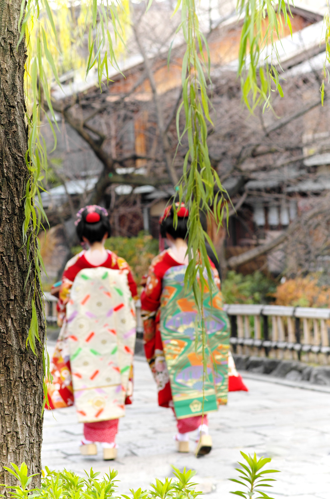 祇園　白川