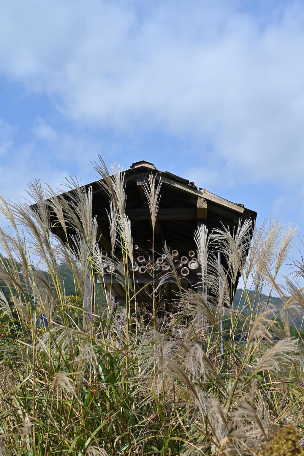稲木小屋