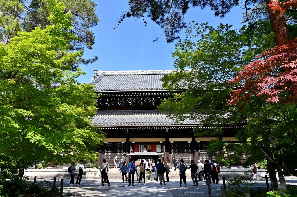 新緑の南禅寺１