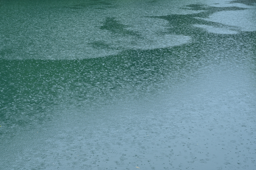 雨の奥池2