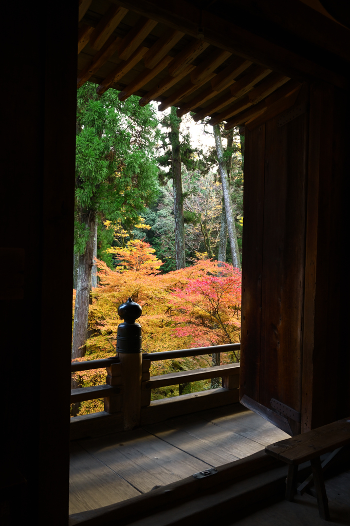 本堂より　額縁紅葉