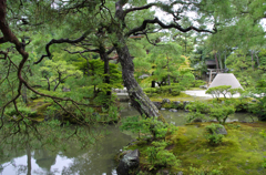 慈照寺庭園 　錦鏡池と向月台