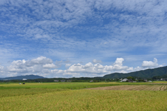 秋到来　うろこ雲