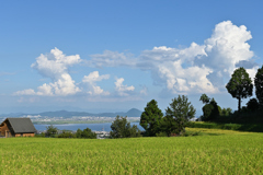 琵琶湖入道雲２