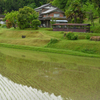 丹波　田植え後