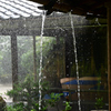 雷雨2