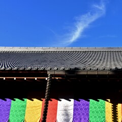 秋の智積院　講堂