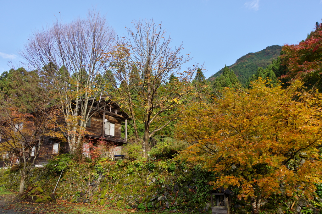 秋の山里