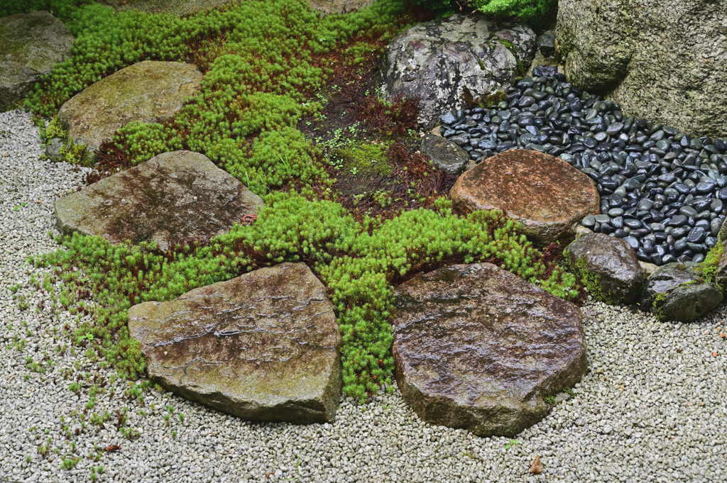 雨の庭園