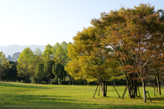 輝く公園