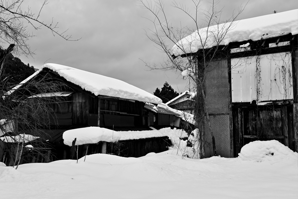 廃屋　雪に耐えて