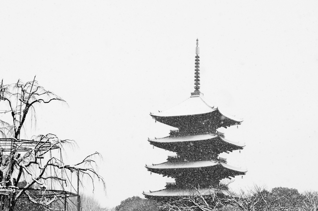 東寺　雪の五重塔　
