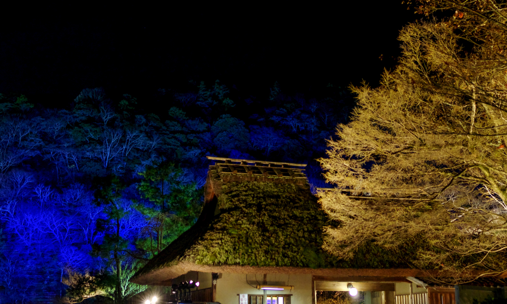嵐山花灯路　宝厳院