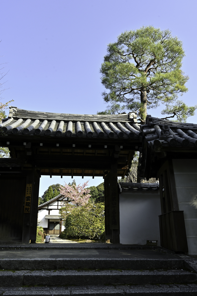 小春日和の雲龍院１